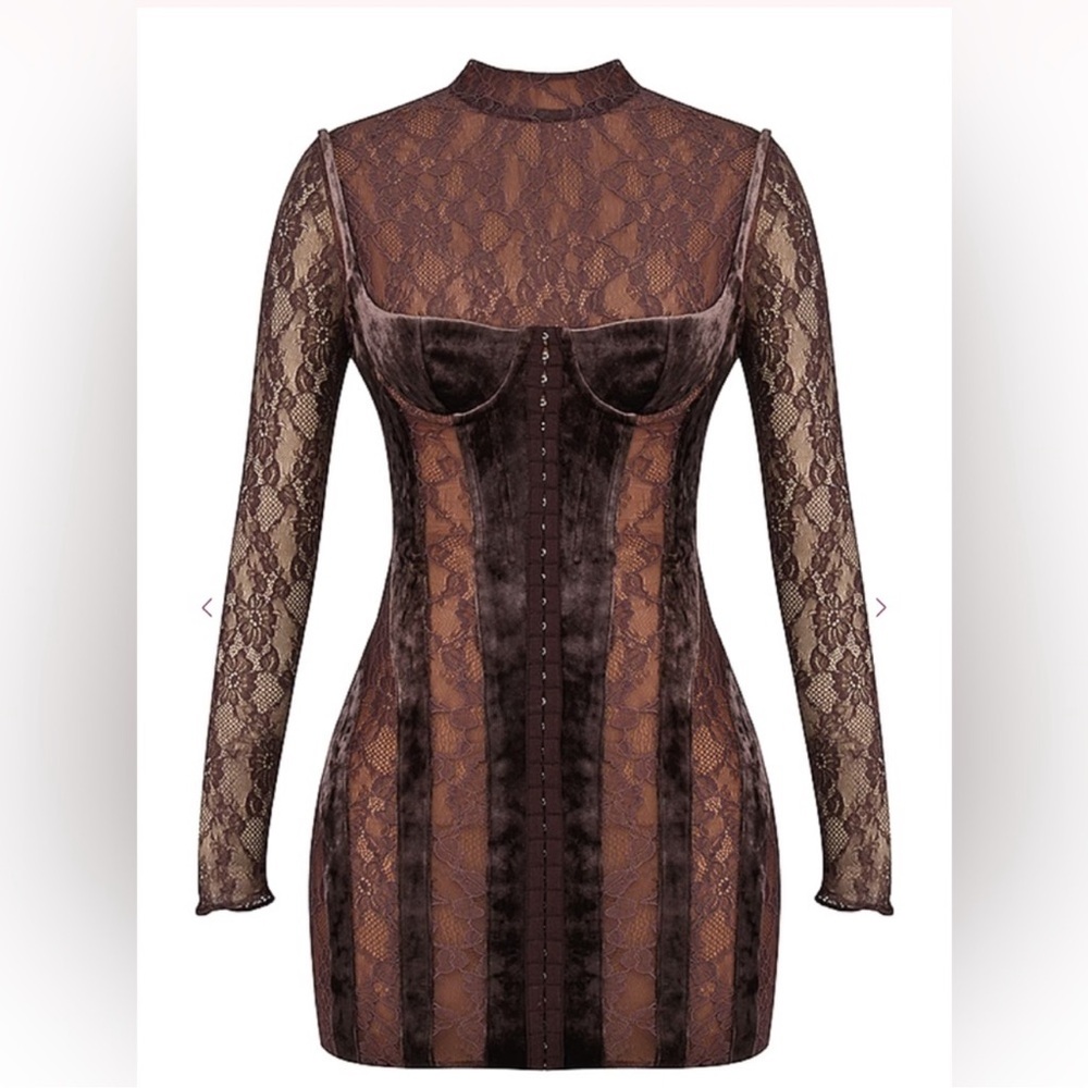 Elegant Lace and Velvet Dress